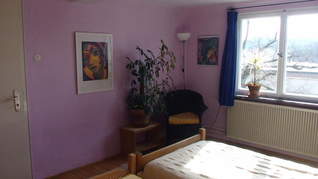 Haus Wunderlich Apartment Sigmaringen Luaran gambar
