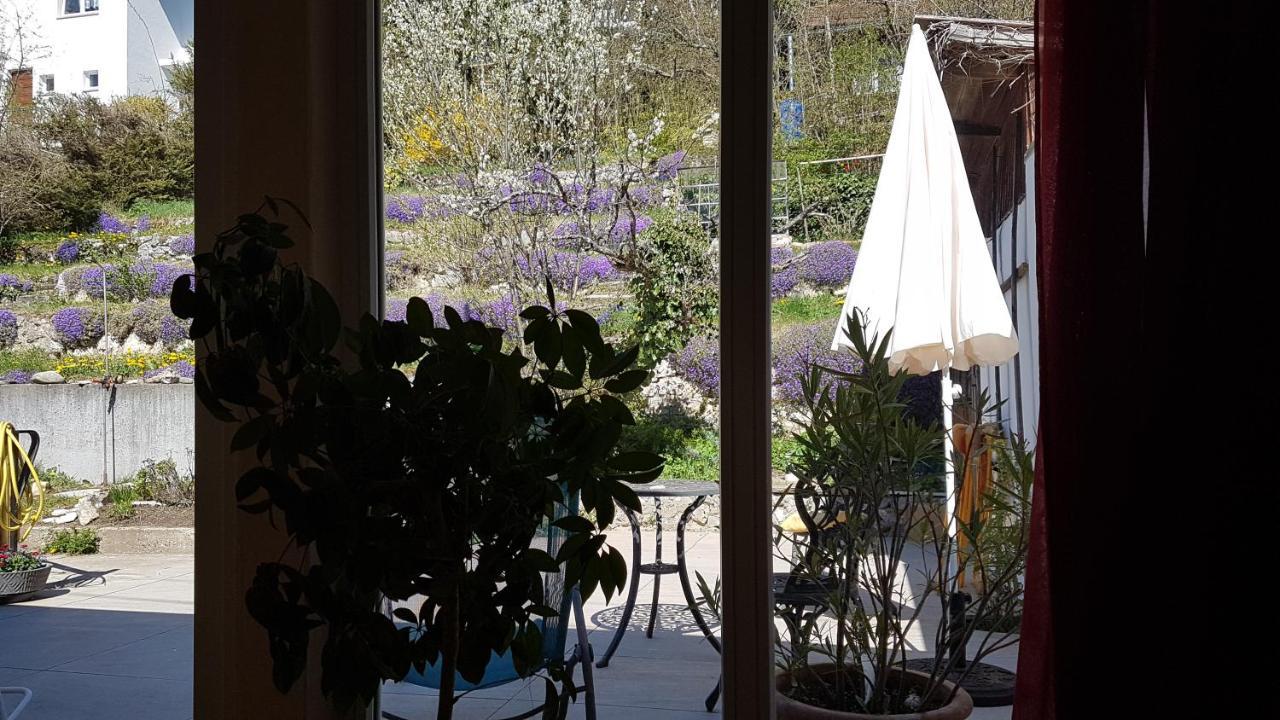 Haus Wunderlich Apartment Sigmaringen Luaran gambar