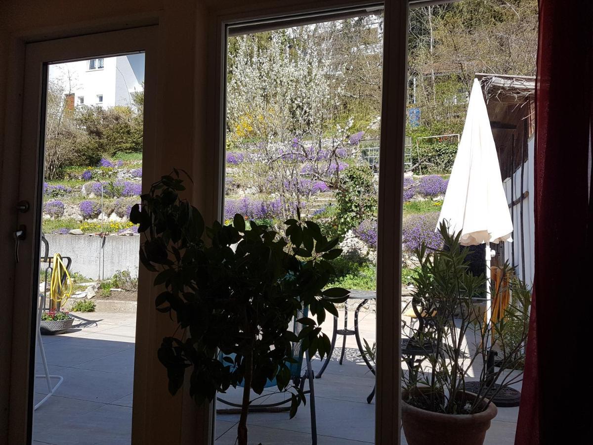 Haus Wunderlich Apartment Sigmaringen Luaran gambar